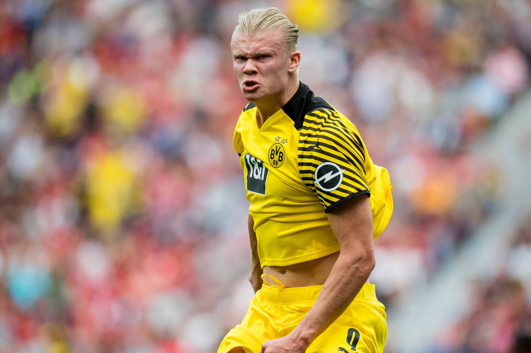 洛杉矶道奇队击败坦帕湾光芒，时隔 32 年再度问鼎世界大赛冠军